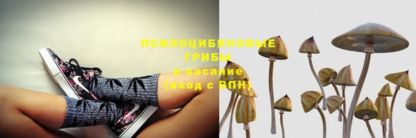 ECSTASY Михайловка