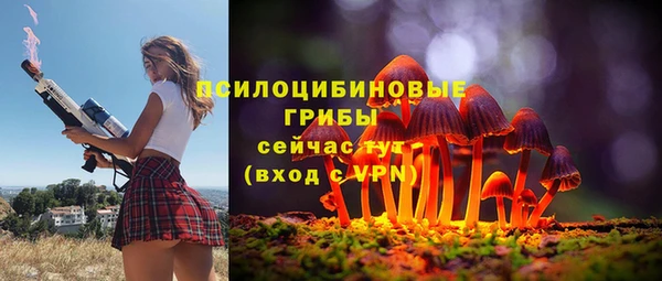 дурь Нея