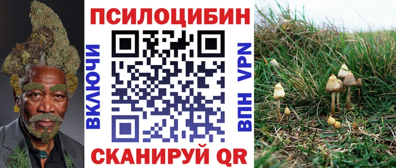 Галлюциногенные грибы Psilocybine cubensis  Николаевск-на-Амуре 